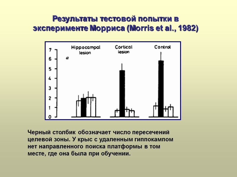 Результаты тестовой попытки в эксперименте Морриса (Morris et al., 1982) Черный столбик обозначает число